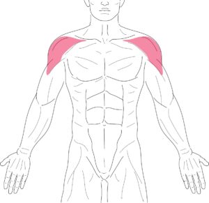 ハンドスタンドプッシュアップ How To Training トレーニング動画