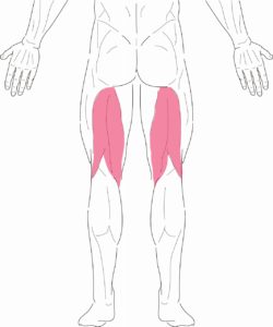 グットモーニング How To Training トレーニング動画